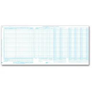One-Write System Journals - Payroll & Cash Receipts