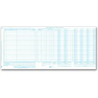 One-Write System Journals - Payroll & Cash Receipts