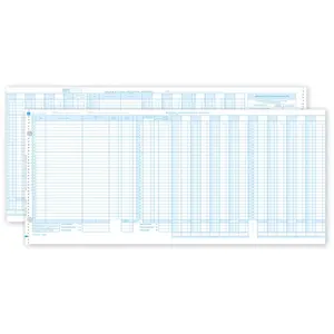 One-Write System Journals - Sales & Cash Receipt