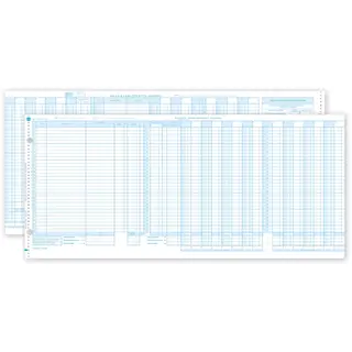 One-Write System Journals - Sales & Cash Receipt
