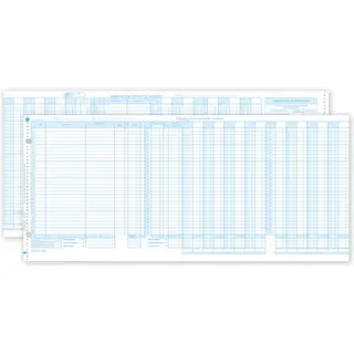 One-Write System Journals - Sales & Cash Receipt