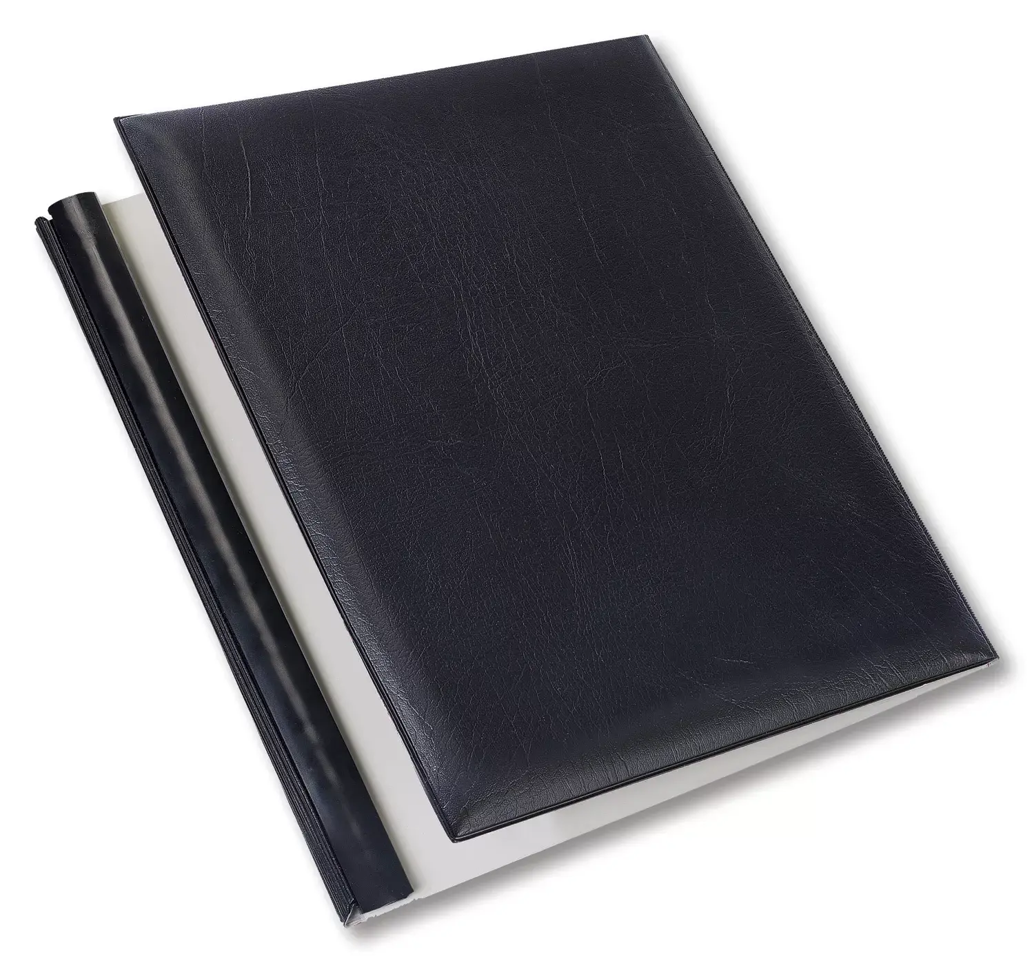 Ledger binder