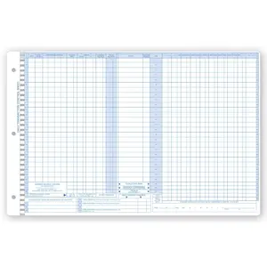 Pegmaster Accounting Control Sheets
