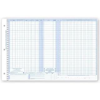 Pegmaster Accounting Control Sheets