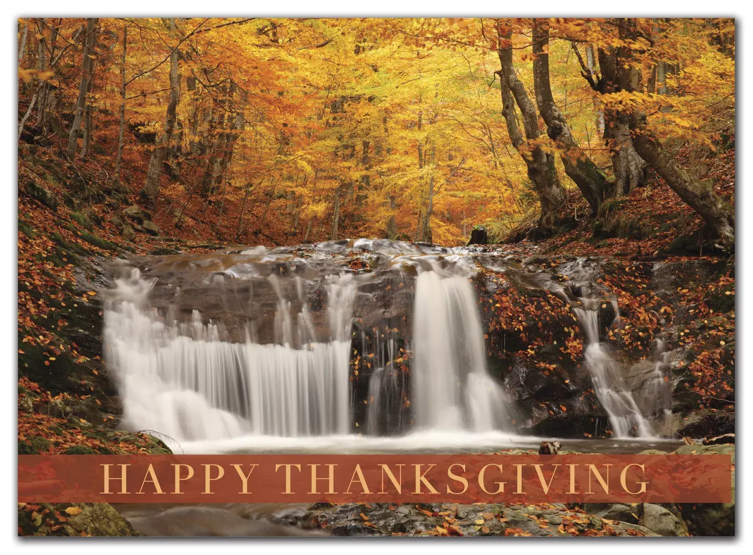 Personalized Thanksgiving card with Nature design
