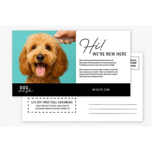 Custom Two-Sided 4" x 6" Postcards