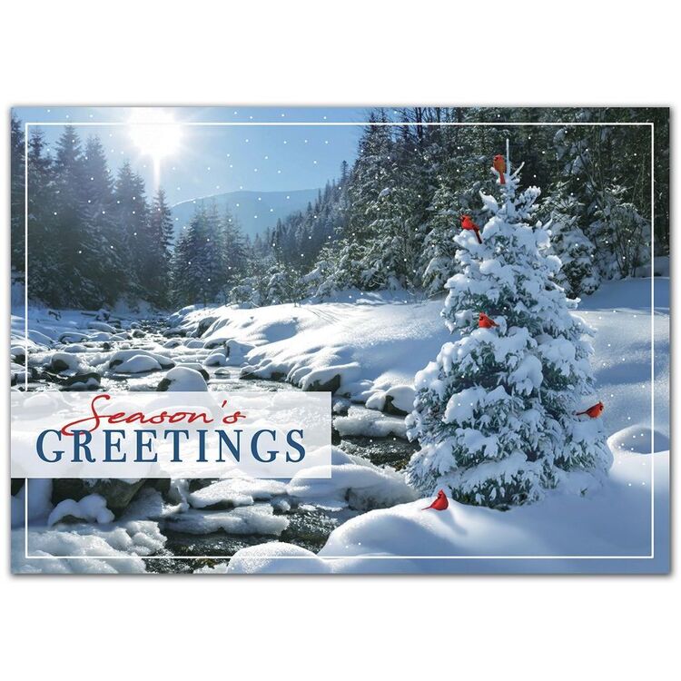 Sweet Seclusion Holiday Cards