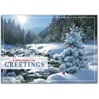 Sweet Seclusion Holiday Cards