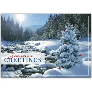 Sweet Seclusion Holiday Cards