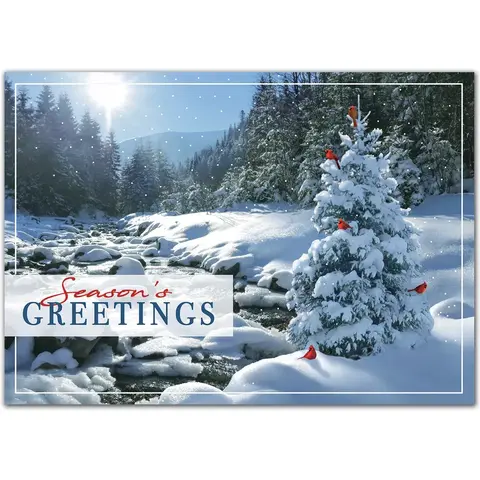 Sweet Seclusion Holiday Cards