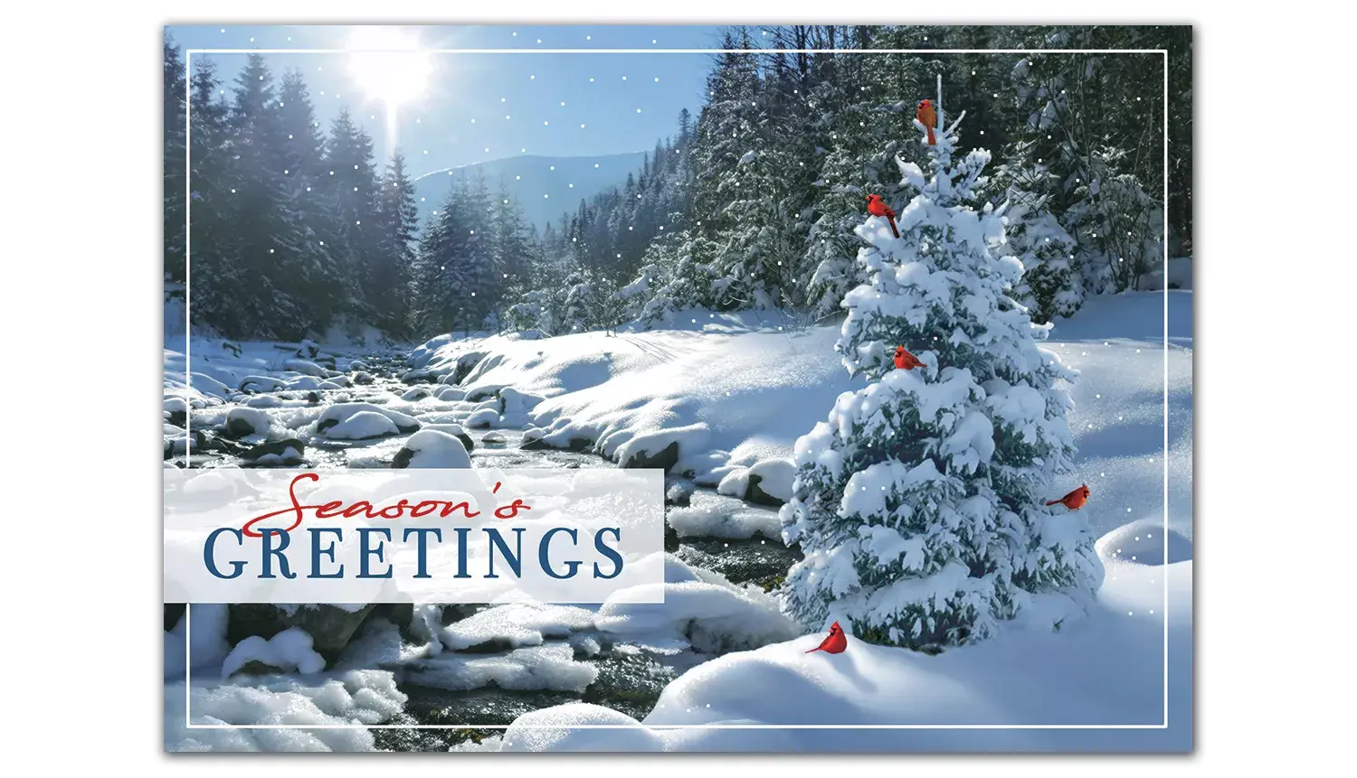 Sweet Seclusion Holiday Cards