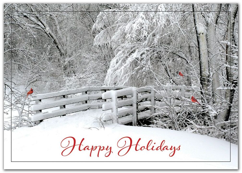 Custom holiday greetings cards featuring 2 red birds on a snow-covered bridge