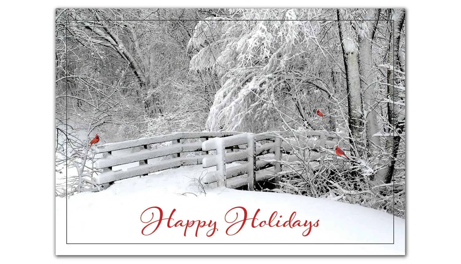 Custom holiday greetings cards featuring 2 red birds on a snow-covered bridge
