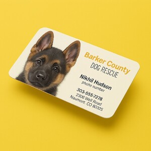 Design your own business card with pictures