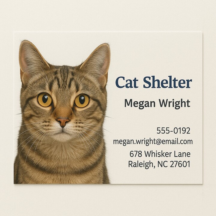 1-Sided Business Cards Printed in Full Color on Premium Paper