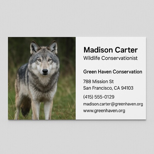 Get affordable business cards online today with our intuitive design tool