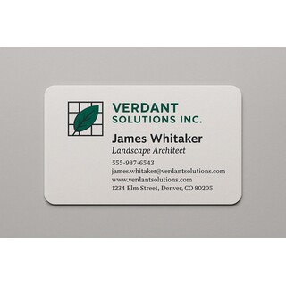 Thick premium business cards with rounded edges and 2 color print