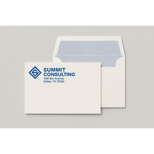 Create your own remittance envelope in blue, black or red ink. Includes tinted security pattern inside.