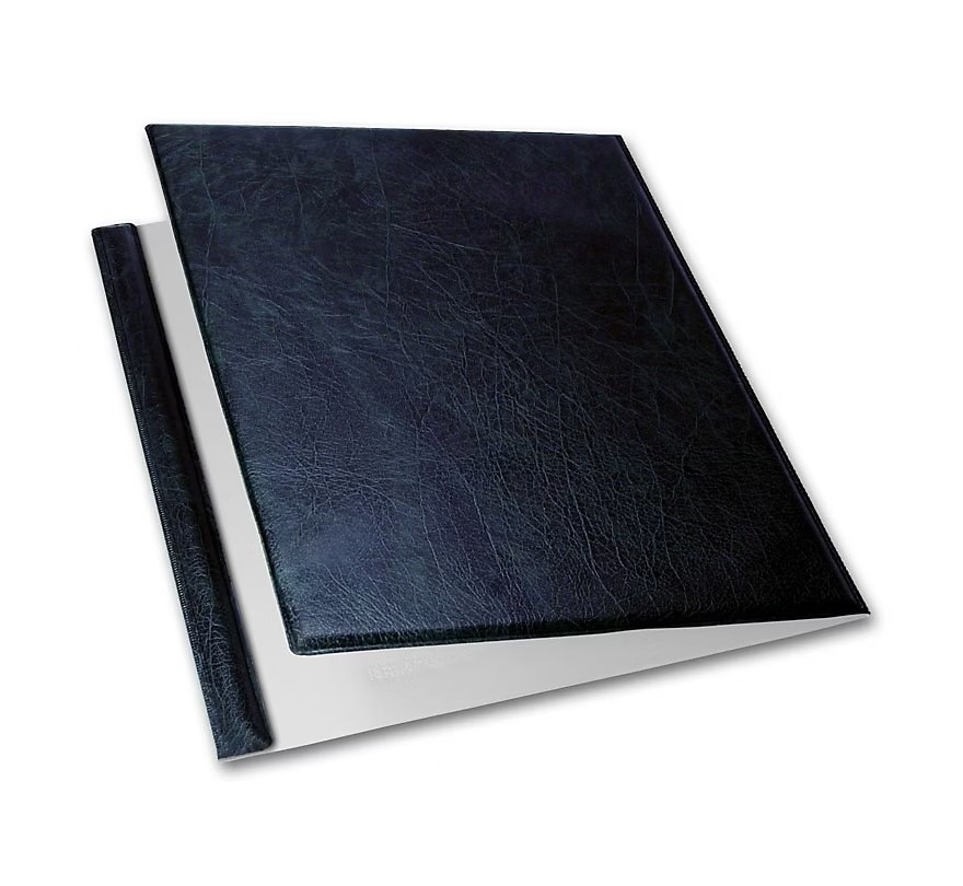 One Write Folding Check Binder, Blue Vinyl