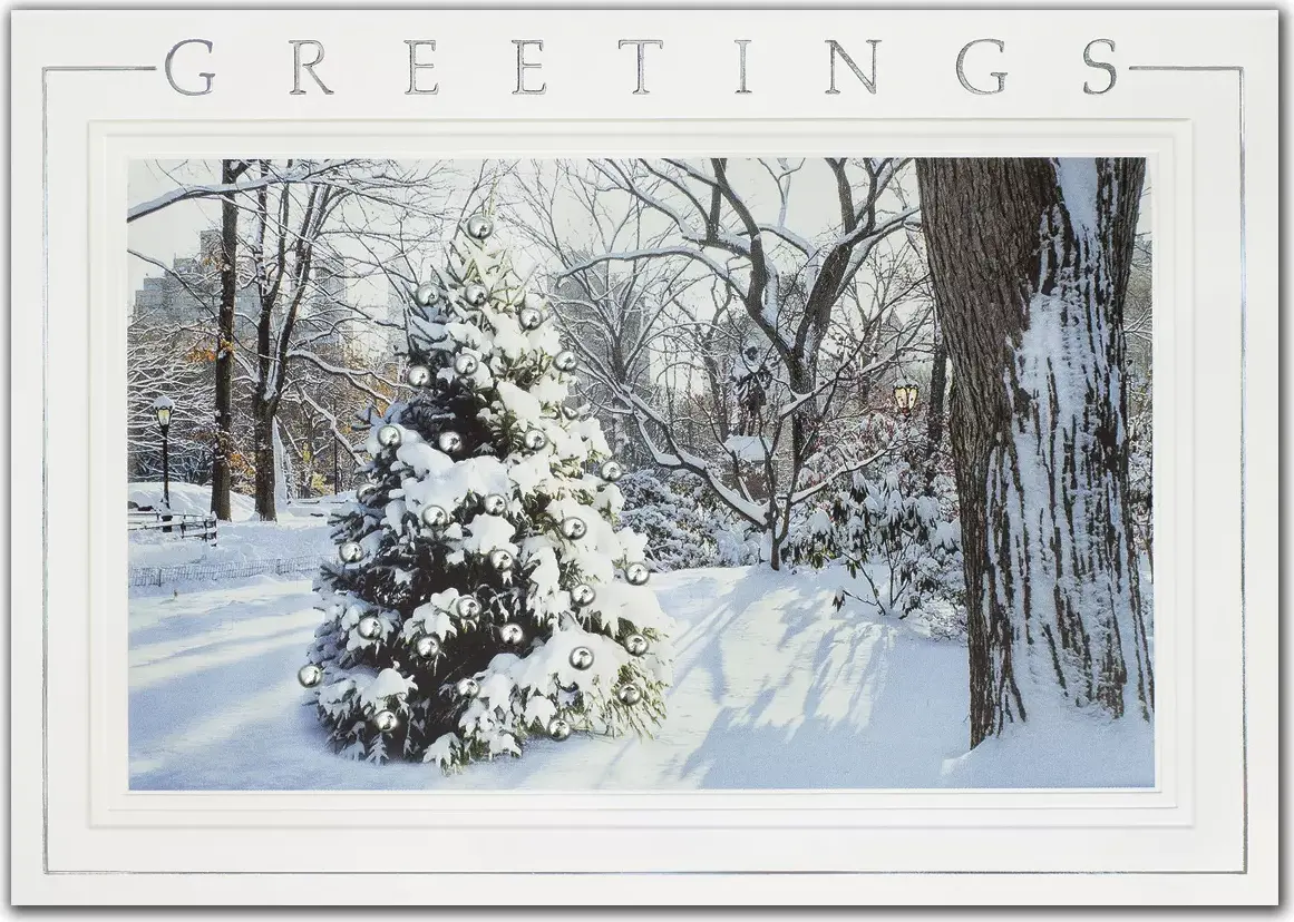 Custom printed winter-theme business holiday greeting cards