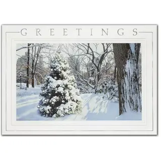 Custom printed winter-theme business holiday greeting cards