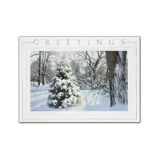 Custom printed winter-theme business holiday greeting cards