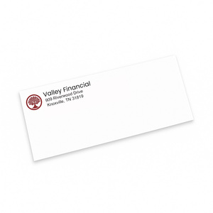 custom #10 business envelopes printed with a two-color logo and return address, ready for mailing.