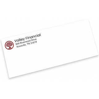 custom #10 business envelopes printed with a two-color logo and return address, ready for mailing.
