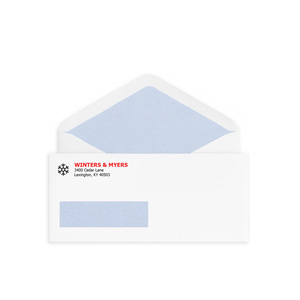 Custom #10 confidential window envelopes printed with a two-color logo and security tinting.