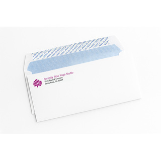 custom #10 self-seal confidential envelopes printed with a two-color logo and security tinting.