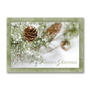 Season’s Greetings card featuring frosty pinecones on snow-dusted evergreen branches