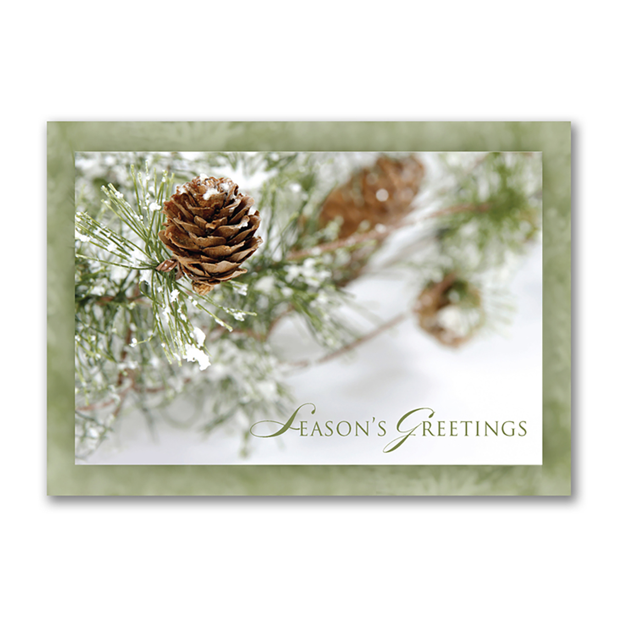 Season’s Greetings card featuring frosty pinecones on snow-dusted evergreen branches