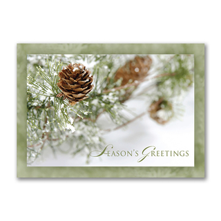 Season’s Greetings card featuring frosty pinecones on snow-dusted evergreen branches