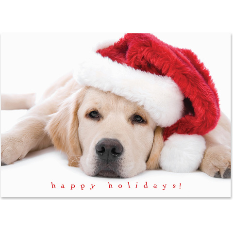 Adorable holiday card featuring a golden retriever wearing a Santa hat with a cheerful Happy Holidays message