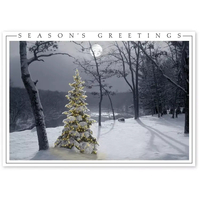 Custom printed holiday greetings cards for the budget-friendly consumer or business