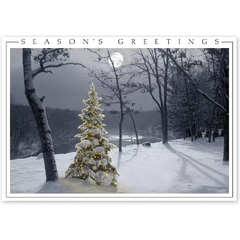 Custom printed holiday greetings cards for the budget-friendly consumer or business