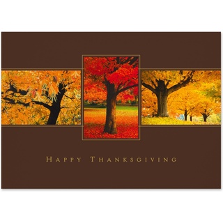 Thanksgiving greeting card featuring vibrant autumn trees in red and gold foliage with a warm seasonal business message
