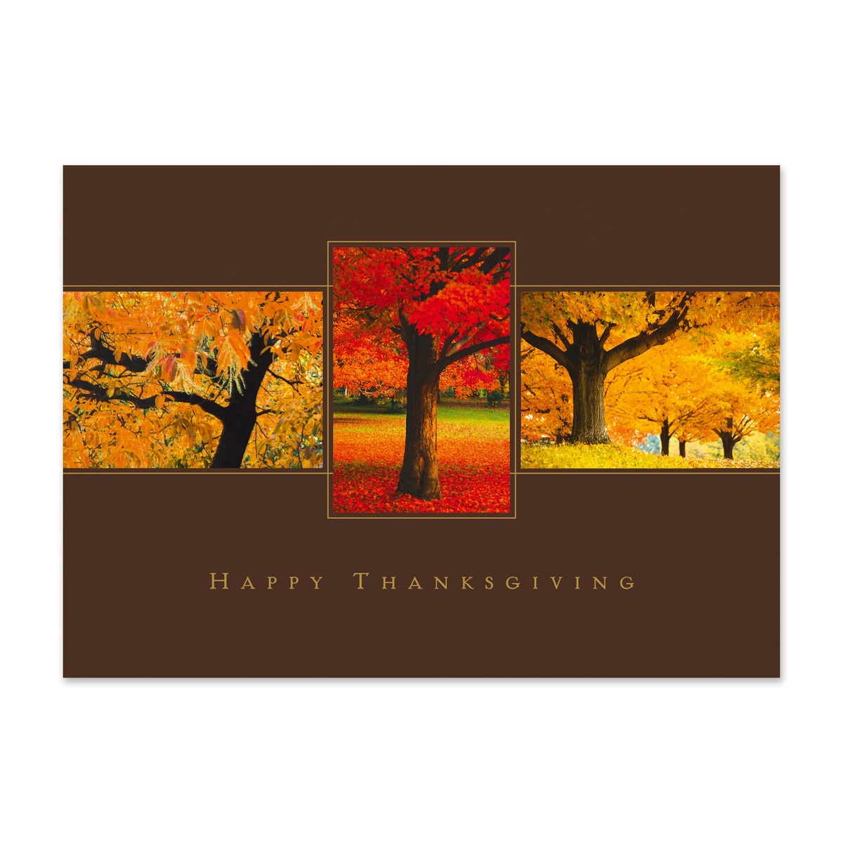 Thanksgiving greeting card featuring vibrant autumn trees in red and gold foliage with a warm seasonal business message