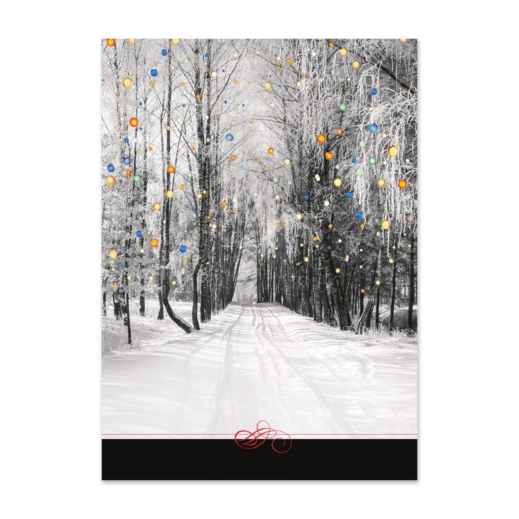 Holiday photo card cover featuring a snowy tree-lined road with colorful hanging lights on a black-and-white winter landscape