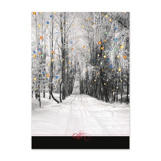 Holiday photo card cover featuring a snowy tree-lined road with colorful hanging lights on a black-and-white winter landscape