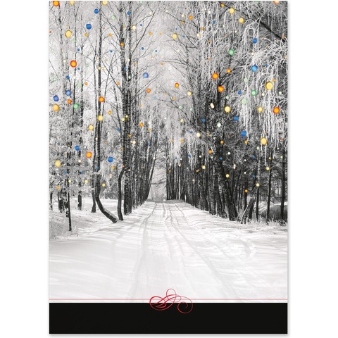 Holiday photo card cover featuring a snowy tree-lined road with colorful hanging lights on a black-and-white winter landscape