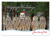 Send warm holiday greetings with this witty and budget-friendly Owl of Us Card. 