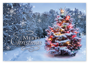 HP14318 - Christmas Cards - Beacon of Joy