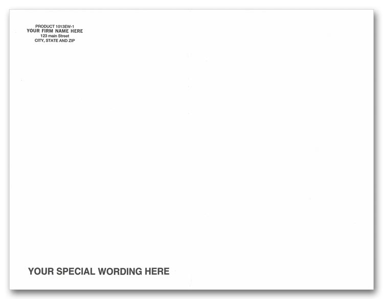 1013EW - White Mailing Envelopes - Open End