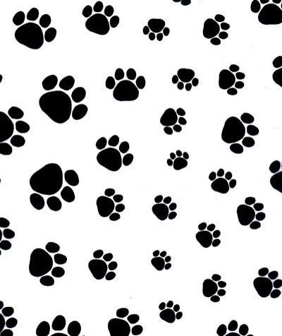 White tissue paper with black puppy paw prints. Great for animal lovers.