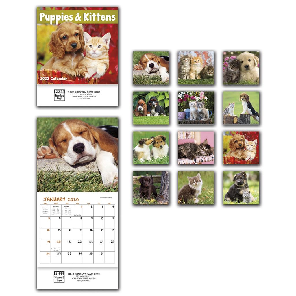 2020 wall calendars featuring impressive photography of Puppies and Kittens.