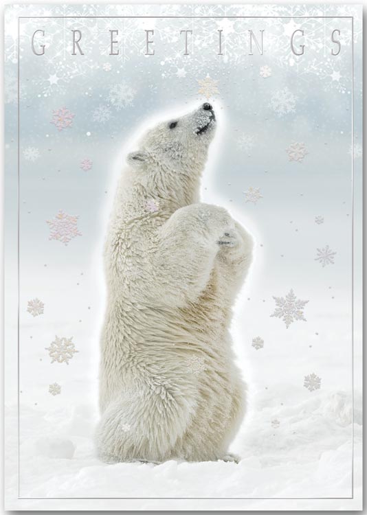Holiday cards with polar bear theme