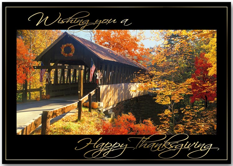 Thanksgiving Cards with an autumn theme: fall colors on a lonely road holiday cards.