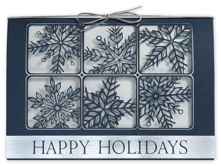 H14603, Silvery Snow Holiday Cards