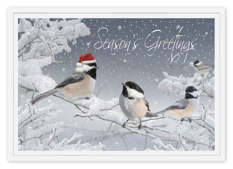 H14649, Red-Capped Chickadee Holiday Cards
